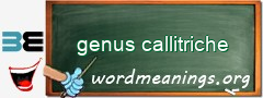 WordMeaning blackboard for genus callitriche